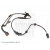 Image for Wheel Speed Sensor