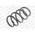 Image for Coil Spring