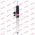 Image for Shock Absorber
