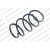 Image for Coil Spring