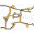 Image for Oil Pump Seal