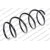 Image for Coil Spring