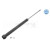 Image for Shock Absorber