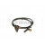 Image for Wheel Speed Sensor