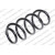 Image for Coil Spring