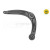 Image for Track Control Arm