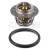 Image for Thermostat