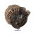 Image for Alternator