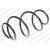 Image for Coil Spring