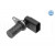 Image for Crank Angle Sensor