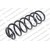 Image for Coil Spring