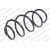 Image for Coil Spring