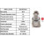 Image for Spark Plug