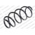 Image for Coil Spring