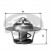 Image for Thermostat