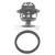 Image for Thermostat