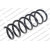 Image for Coil Spring