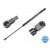 Image for Gas Spring
