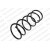 Image for Coil Spring