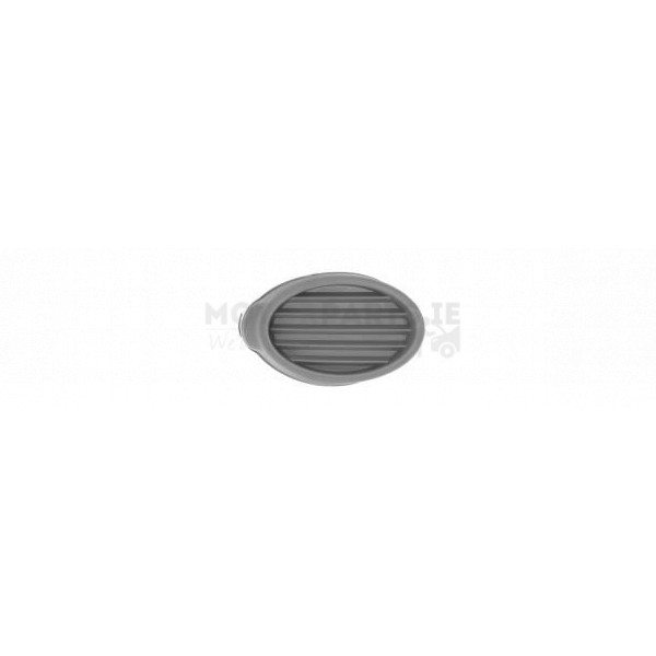 Fog Lamp Bezel / Cover image
