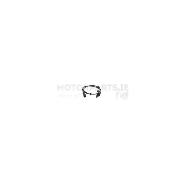 Wheel Speed Sensor image