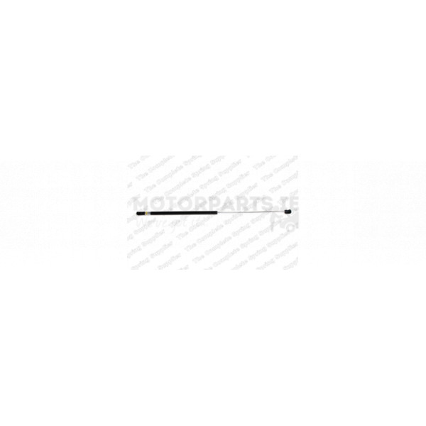Gas Spring image
