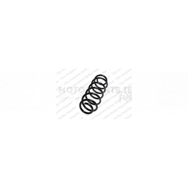 Coil Spring image