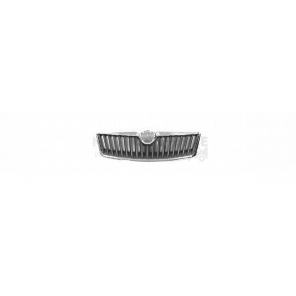 Radiator Grille image