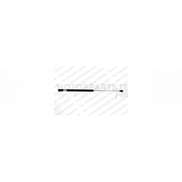 Gas Spring image