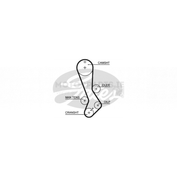 Timing Belt image