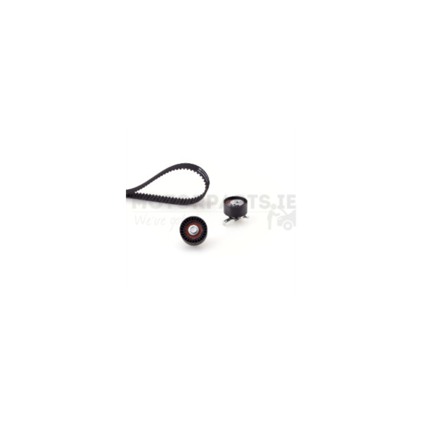 Timing Belt Kit image