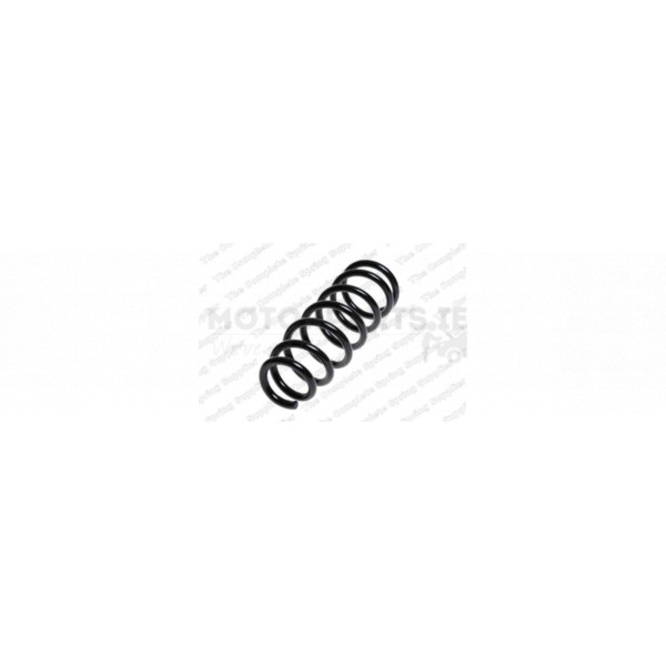 Coil Spring image