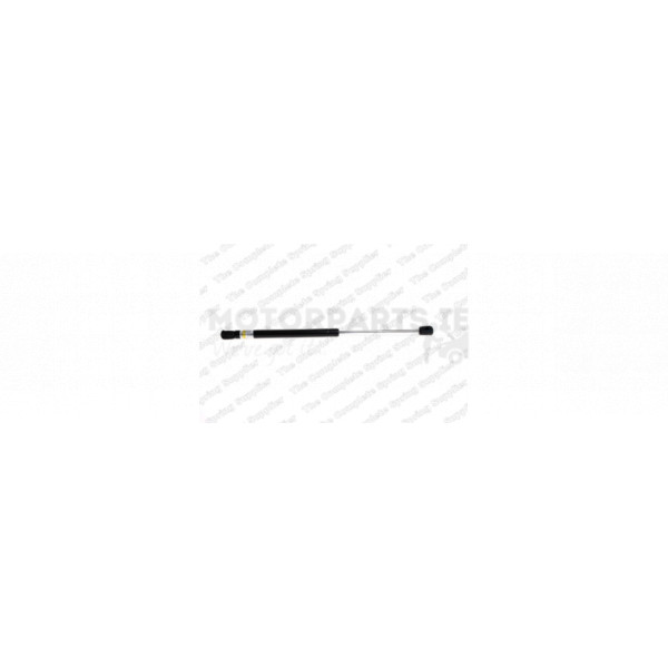 Gas Spring image