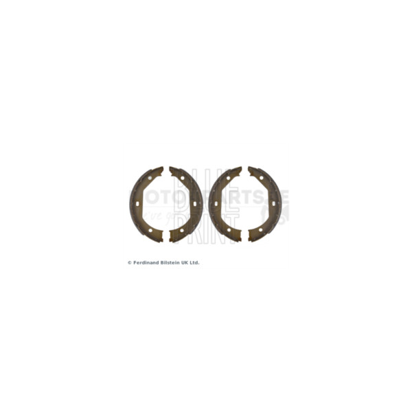 Brake Shoe Set image