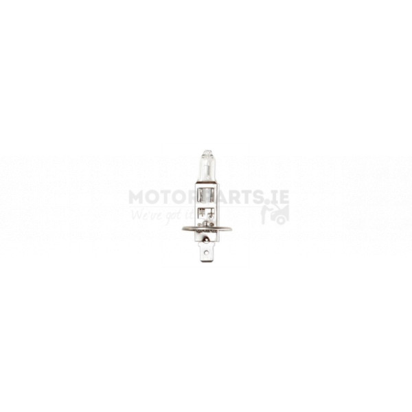 Head Light image
