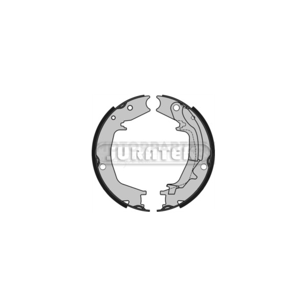 Brake Shoe Set image