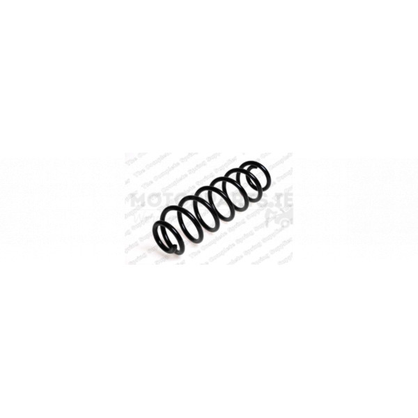Coil Spring image