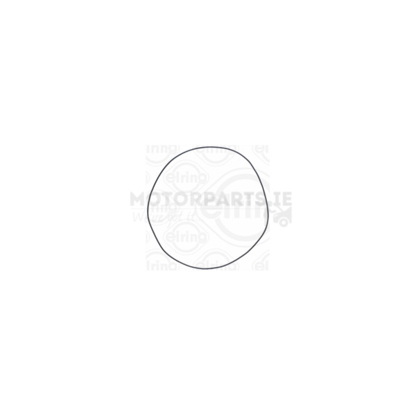 Transmission Gasket image