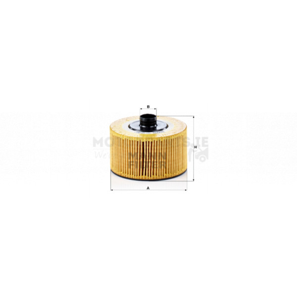Oil Filter image