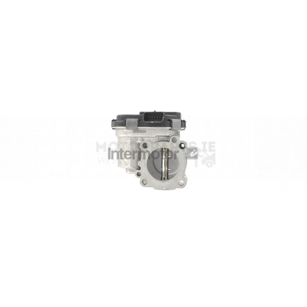 Throttle Body image