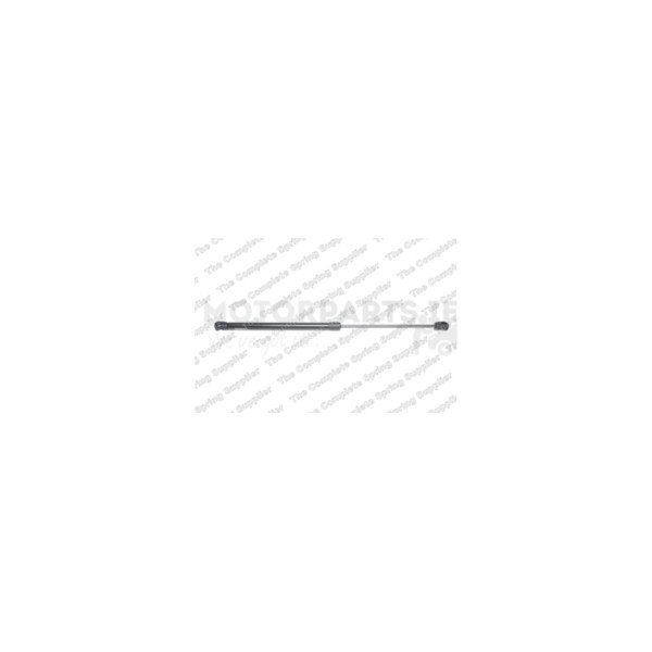 Gas Spring image
