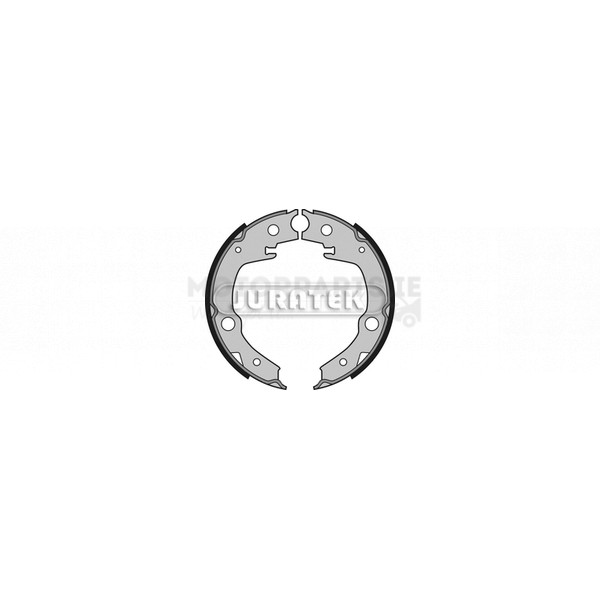 Brake Shoe Set image