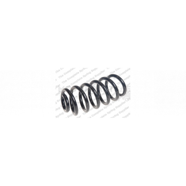 Coil Spring image