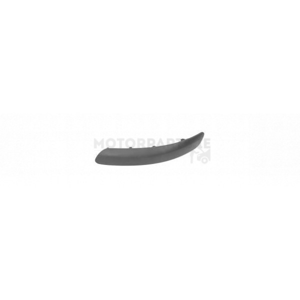 Bumper Moulding image