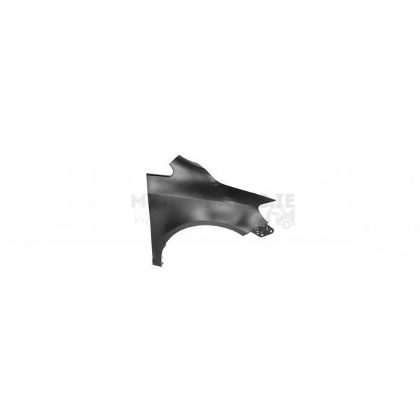 Wing image