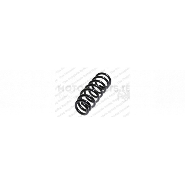 Coil Spring image