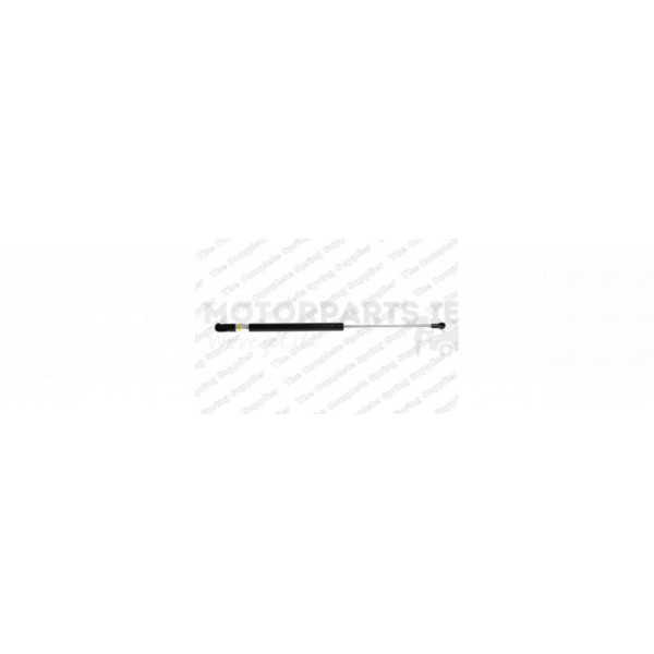 Gas Spring image