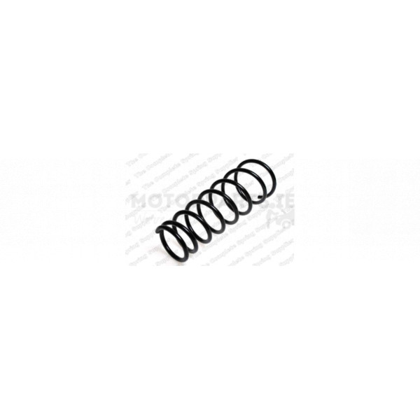 Coil Spring image