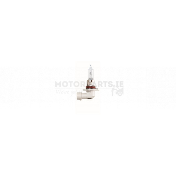 Head Light image