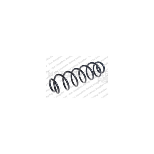 Coil Spring image Coil Spring image